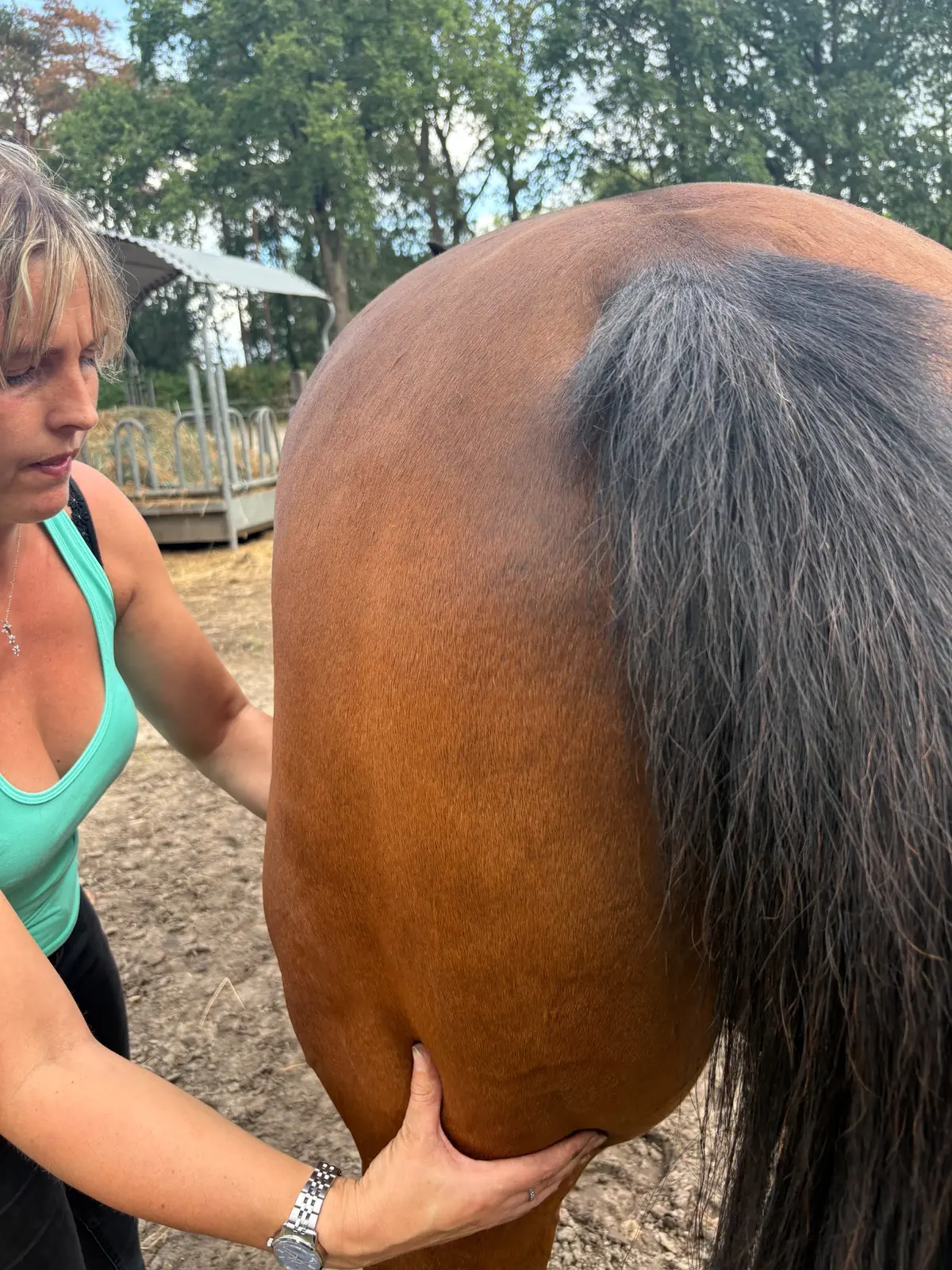 Astrid onderzoekt de achterhand van een paard