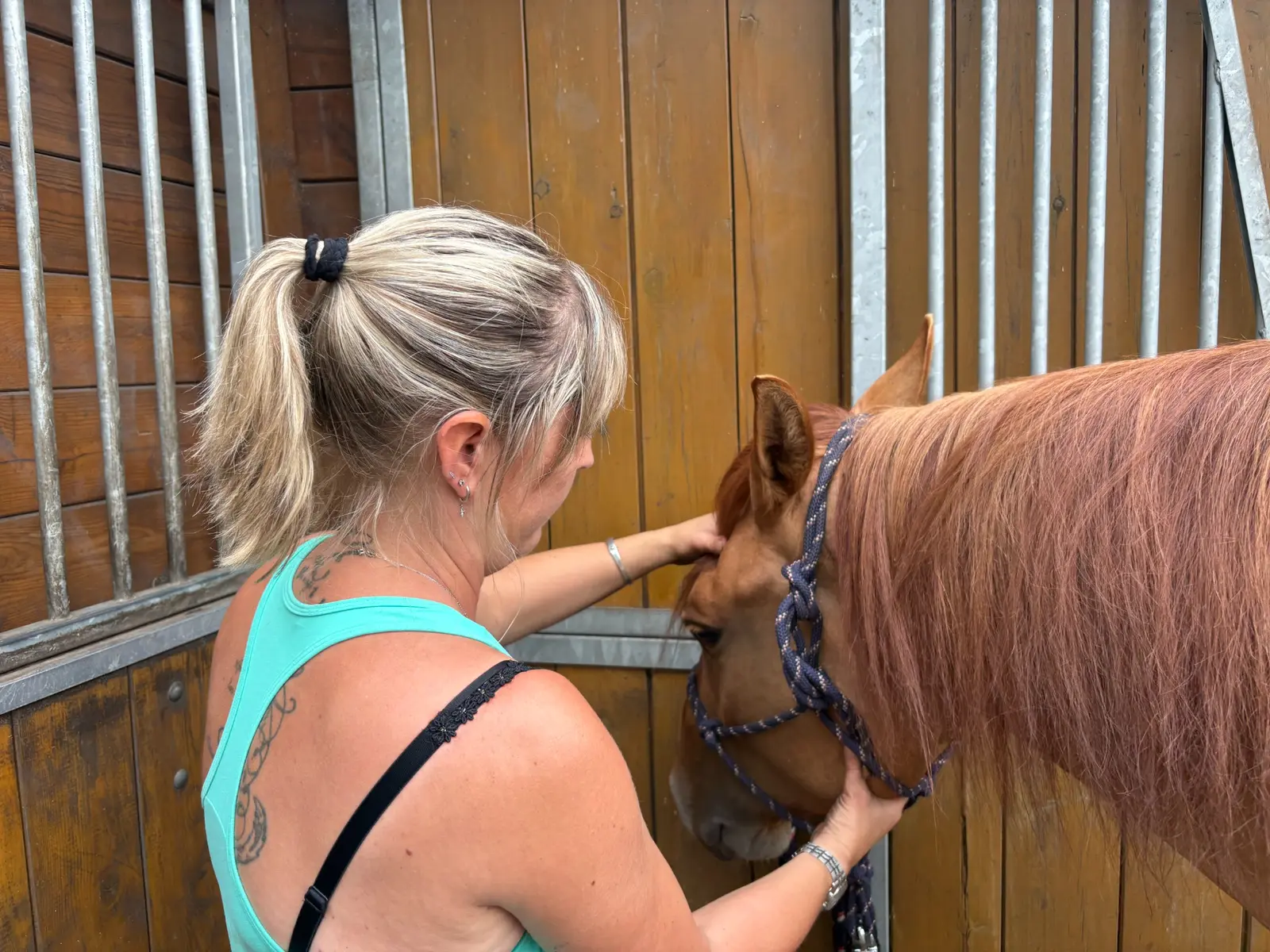 Astrid onderzoekt een paard bij de stal