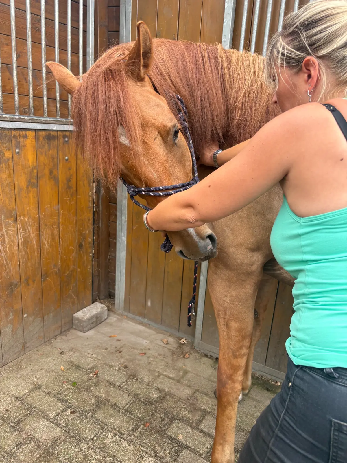 Astrid en een paard in een rustig contactmoment
