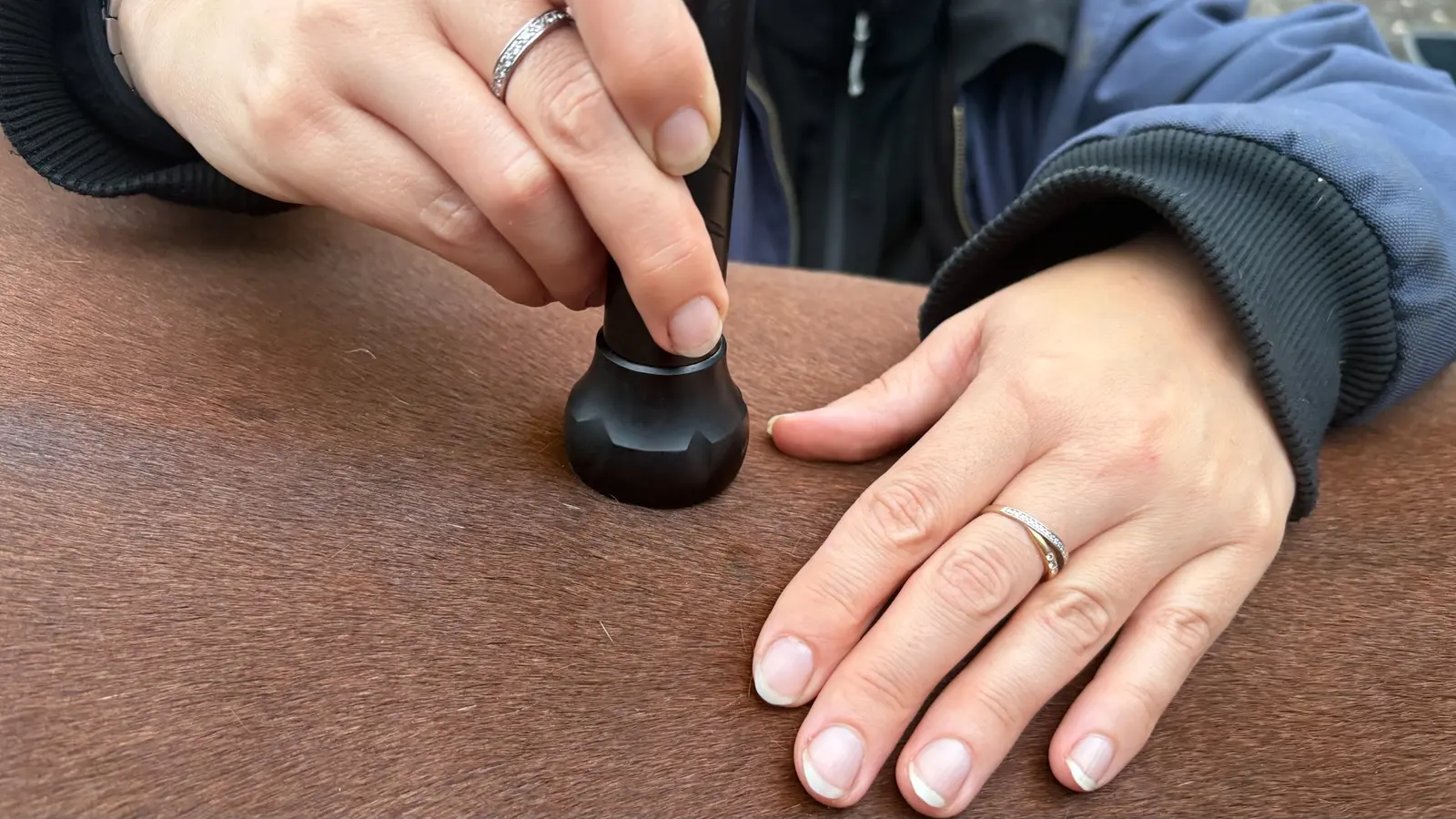 Close-up of the laser device on a horse’s back
