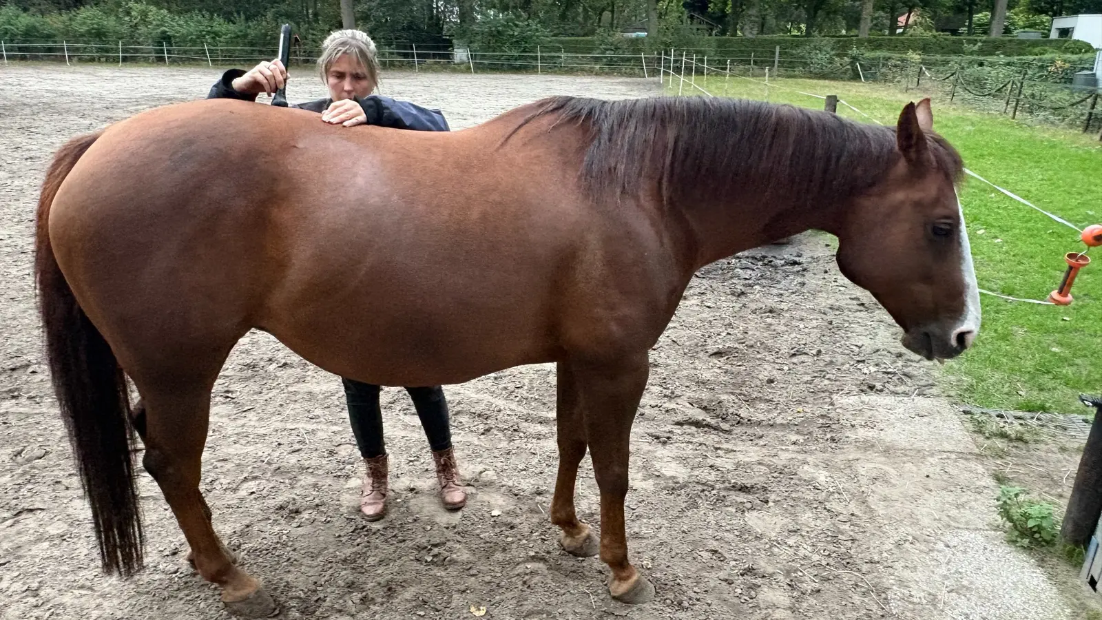 Astrid treats a larger area on a horse’s back