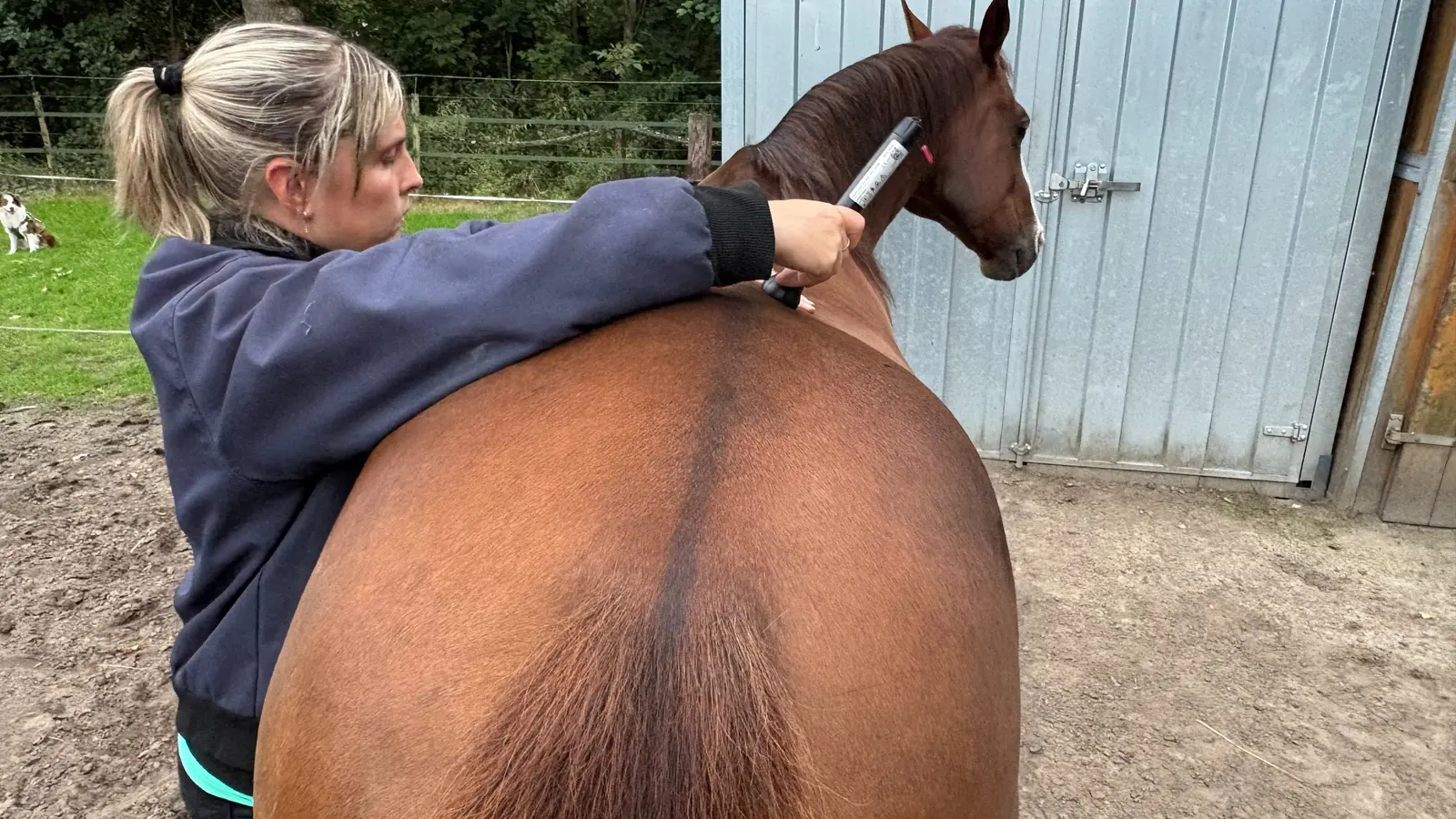 Laser therapy around the back and neck